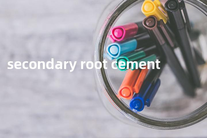 secondary root cement单词图解，单词释义场景配图