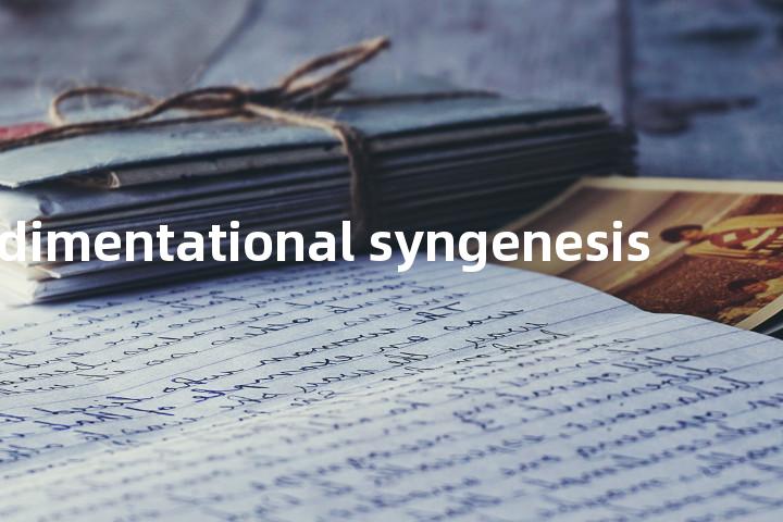sedimentational syngenesis单词图解，单词释义场景配图