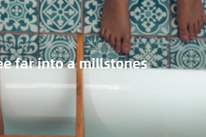 see far into a millstones单词图解，单词释义场景配图