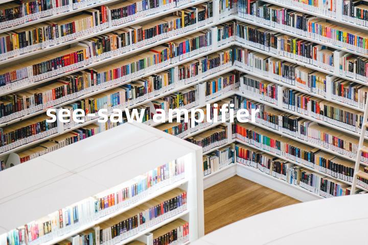 see-saw amplifier单词图解，单词释义场景配图