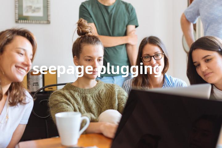 seepage plugging单词图解，单词释义场景配图