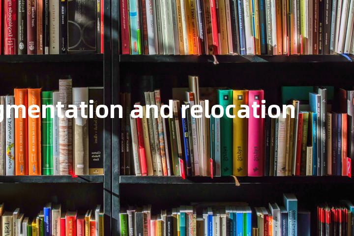 segmentation and relocation单词图解，单词释义场景配图