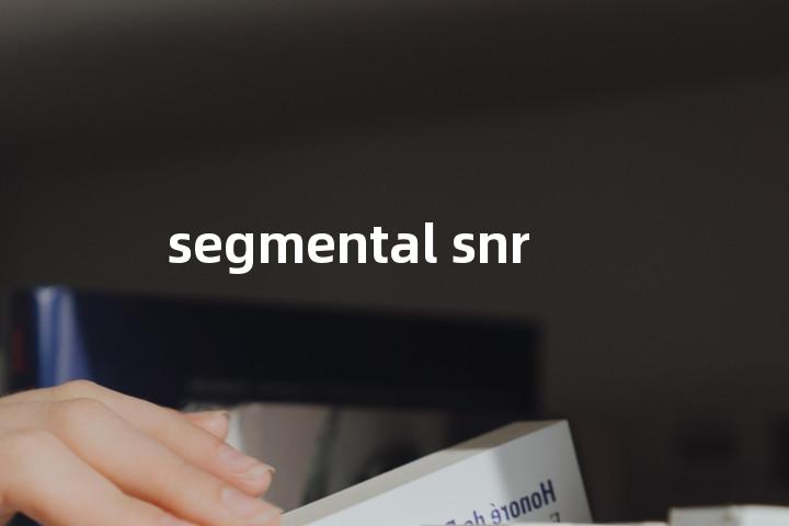 segmental snr单词图解，单词释义场景配图