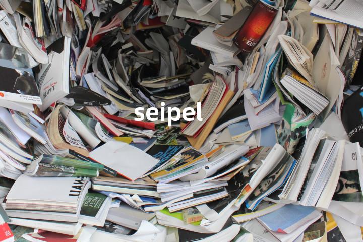 seipel单词图解，单词释义场景配图