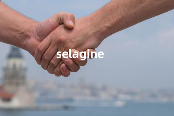 selagine单词图解，单词释义场景配图