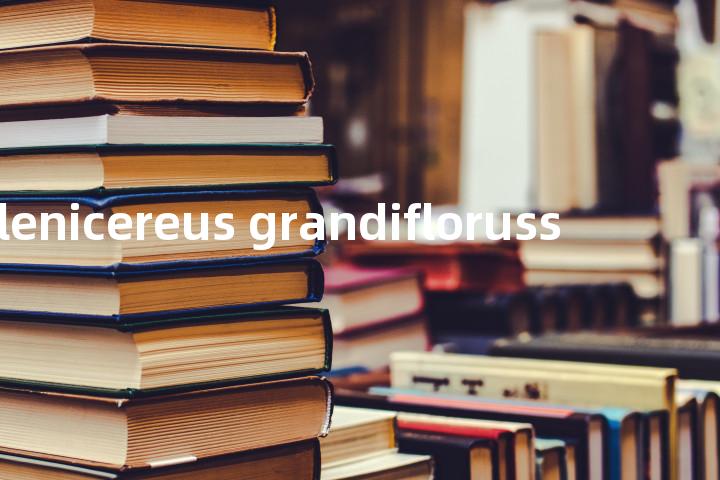 selenicereus grandifloruss单词图解，单词释义场景配图