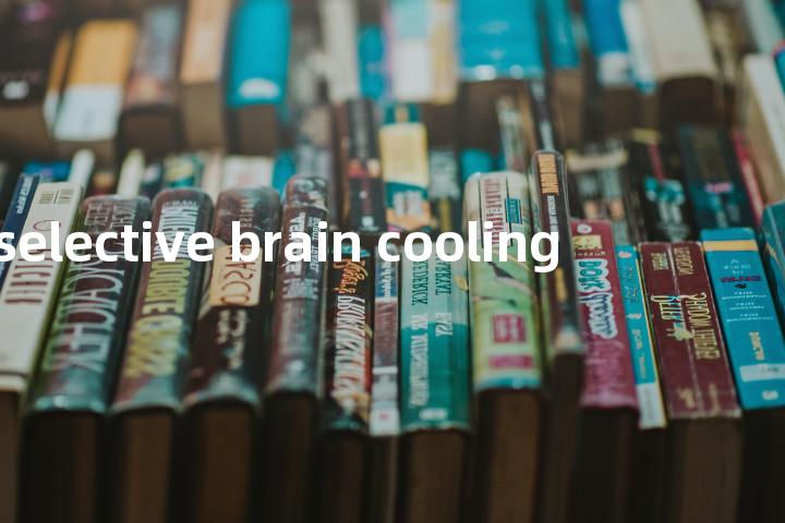 selective brain cooling单词图解，单词释义场景配图