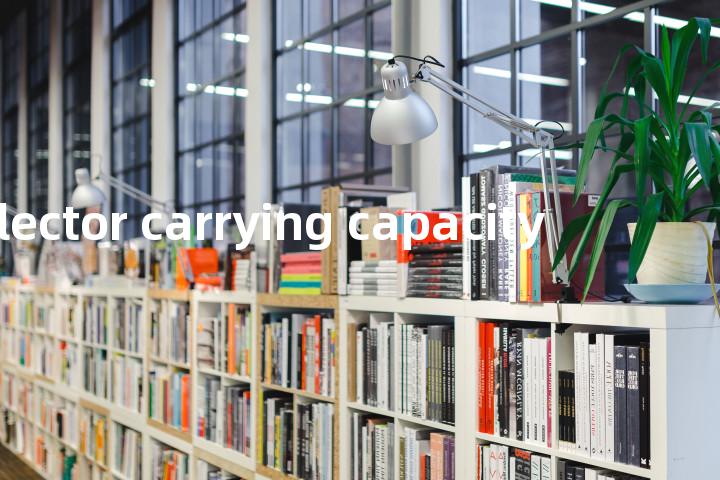 selector carrying capacity单词图解，单词释义场景配图