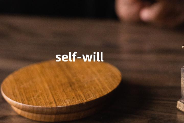 self-will单词图解，单词释义场景配图