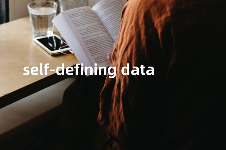 self-defining data单词图解，单词释义场景配图
