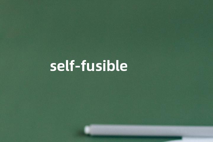self-fusible单词图解，单词释义场景配图