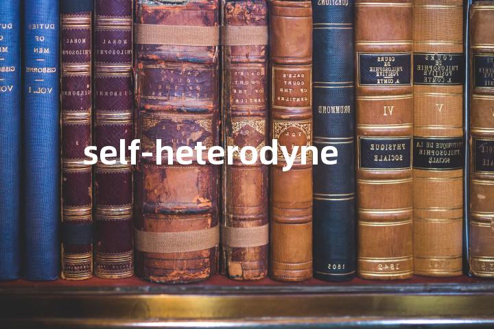 self-heterodyne单词图解，单词释义场景配图