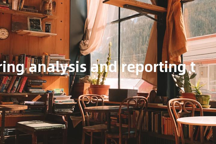 self-monitoring analysis and reporting tool单词图解，单词释义场景配图