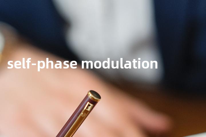 self-phase modulation单词图解，单词释义场景配图