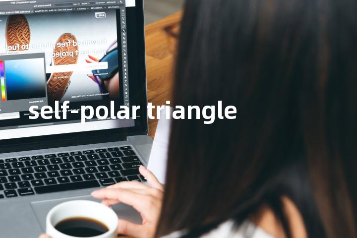 self-polar triangle单词图解，单词释义场景配图