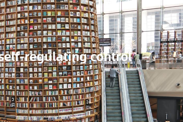 self-regulating control单词图解，单词释义场景配图