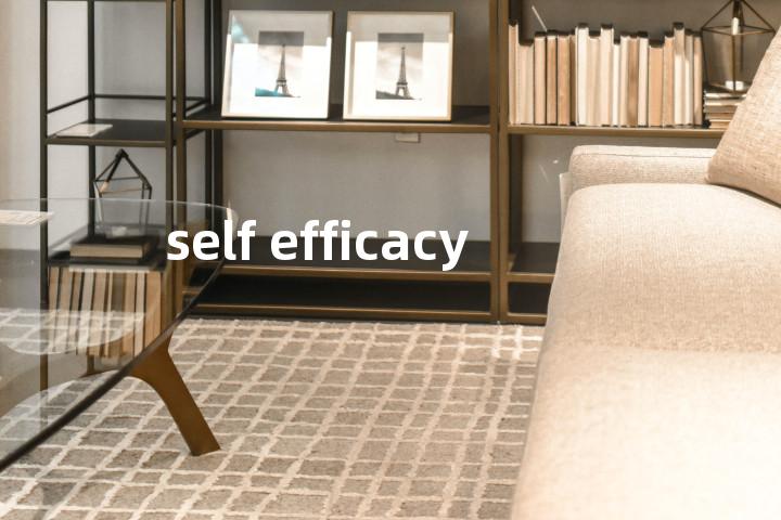 self efficacy单词图解，单词释义场景配图