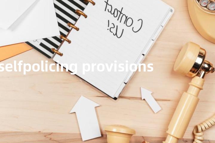 selfpolicing provisions单词图解，单词释义场景配图