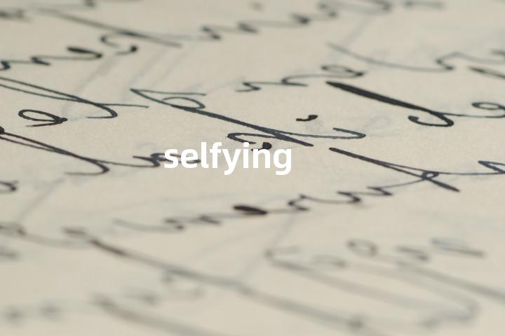 selfying单词图解，单词释义场景配图