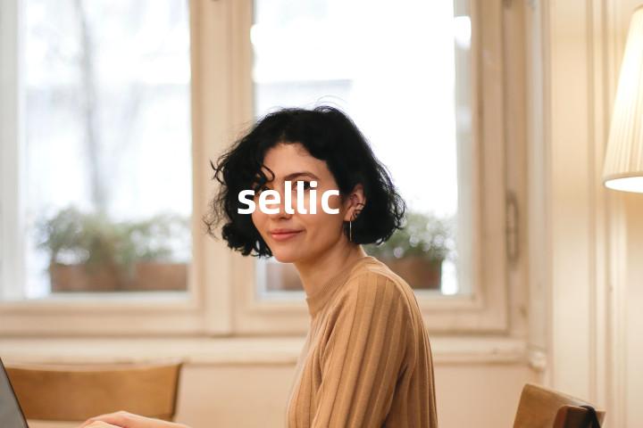 sellic单词图解，单词释义场景配图