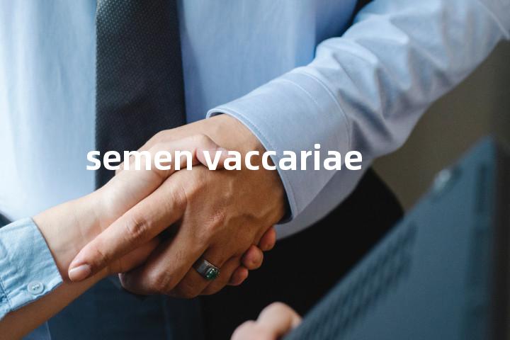 semen vaccariae单词图解，单词释义场景配图
