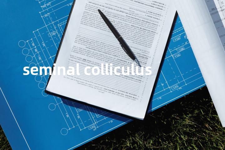 seminal colliculus单词图解，单词释义场景配图