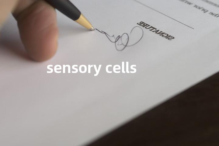 sensory cells单词图解，单词释义场景配图