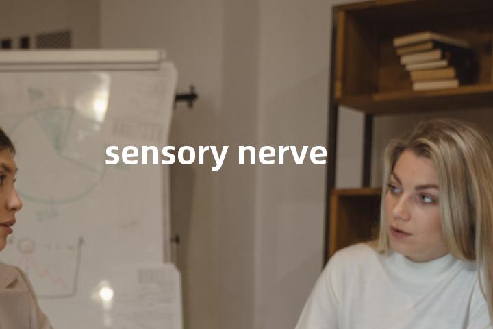 sensory nerve单词图解，单词释义场景配图