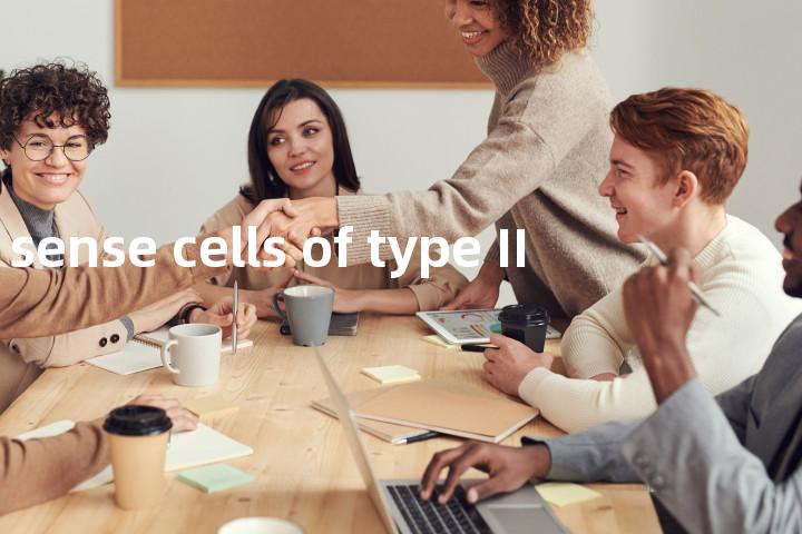 sense cells of type II单词图解，单词释义场景配图