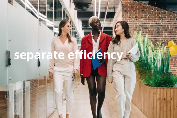 separate efficiency单词图解，单词释义场景配图