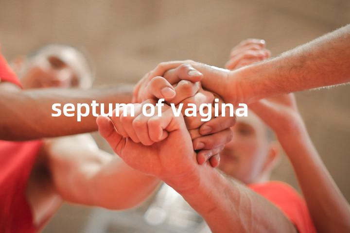 septum of vagina单词图解，单词释义场景配图