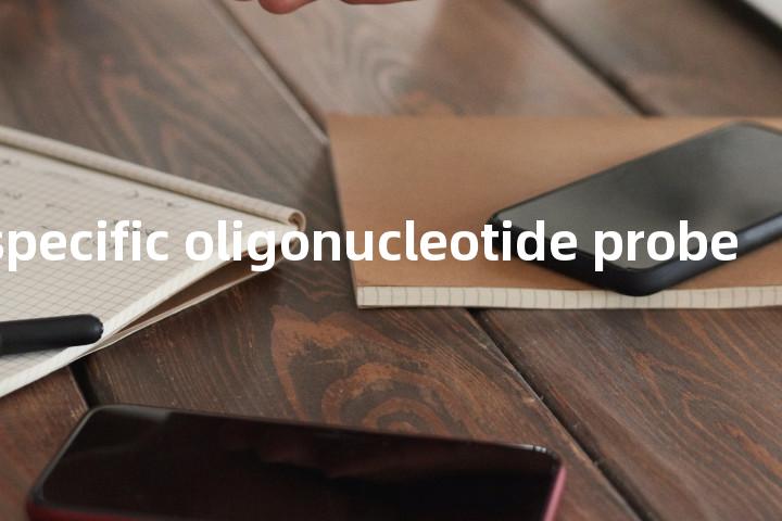 sequence-specific oligonucleotide probe单词图解，单词释义场景配图