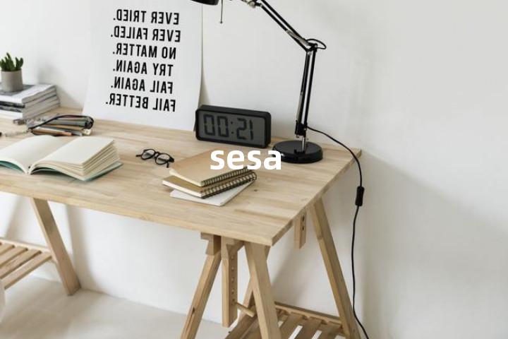 sesa单词图解，单词释义场景配图