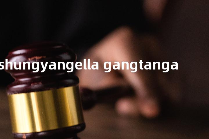shungyangella gangtanga单词图解，单词释义场景配图
