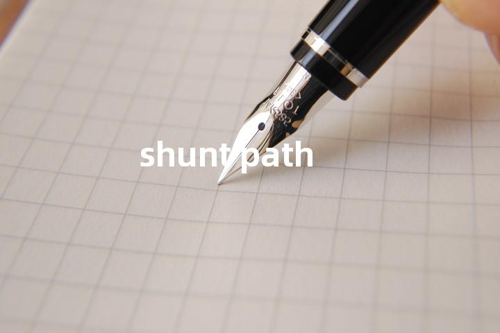 shunt path单词图解，单词释义场景配图