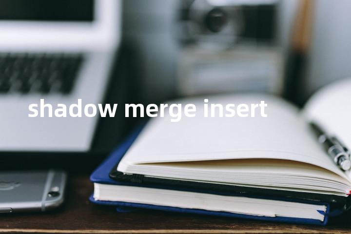 shadow merge insert单词图解，单词释义场景配图
