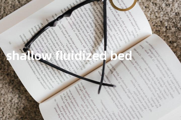 shallow fluidized bed单词图解，单词释义场景配图