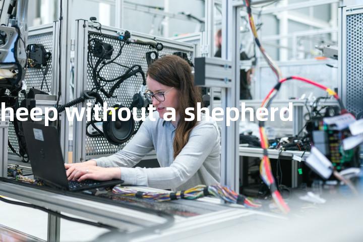 sheep without a shepherd单词图解，单词释义场景配图