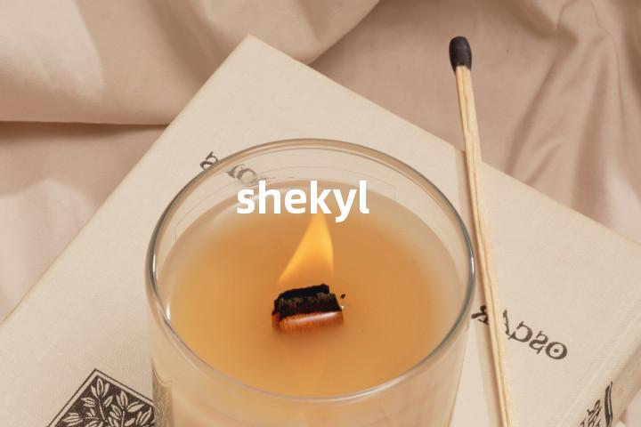 shekyl单词图解，单词释义场景配图