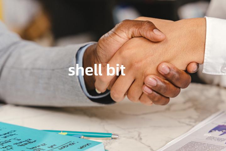 shell bit单词图解，单词释义场景配图