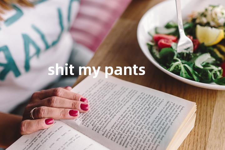 shit my pants单词图解，单词释义场景配图