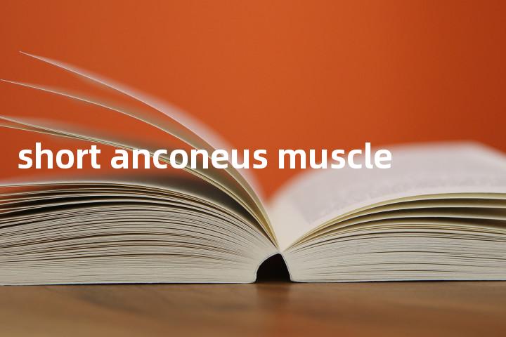 short anconeus muscle单词图解，单词释义场景配图