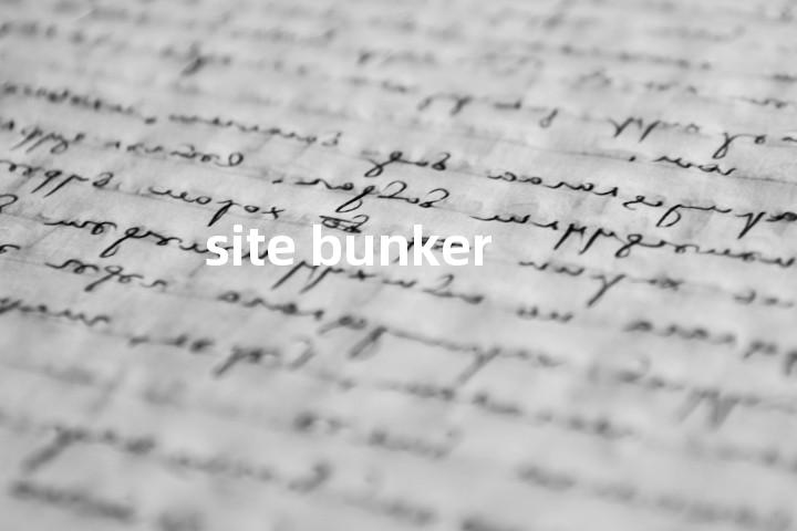 site bunker单词图解，单词释义场景配图