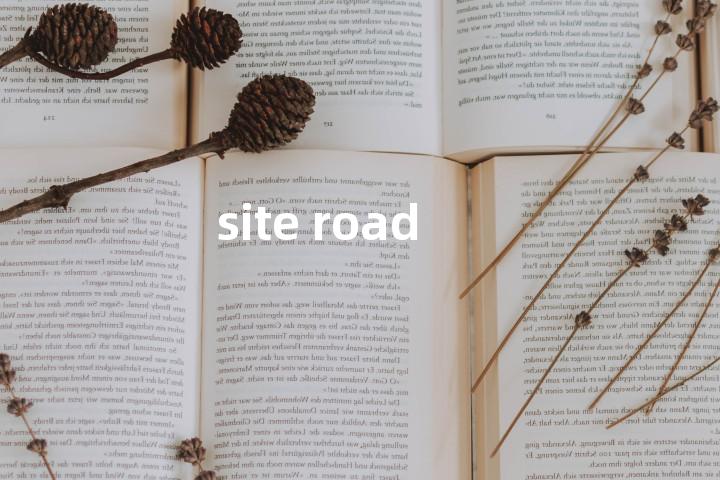 site road单词图解，单词释义场景配图