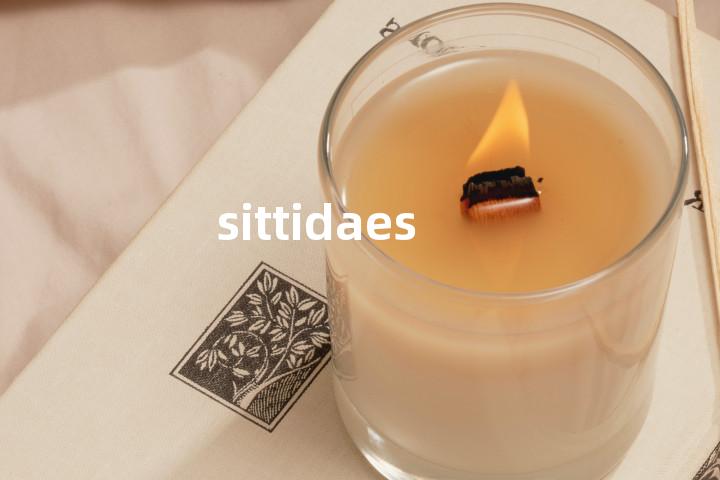 sittidaes单词图解，单词释义场景配图