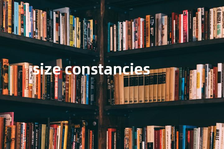 size constancies单词图解，单词释义场景配图