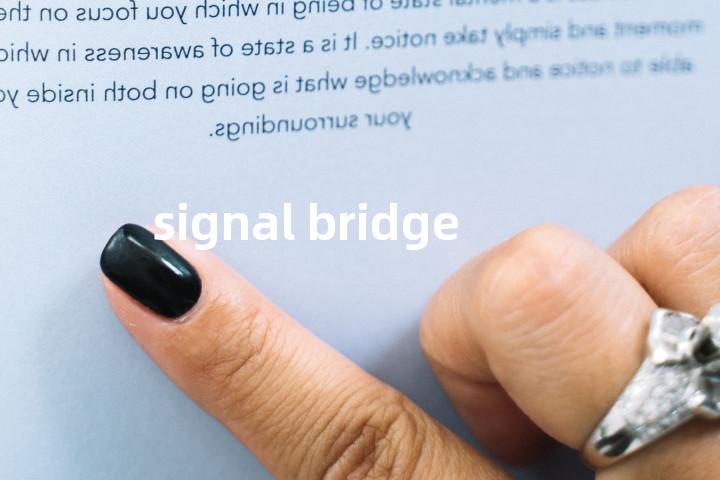 signal bridge单词图解，单词释义场景配图