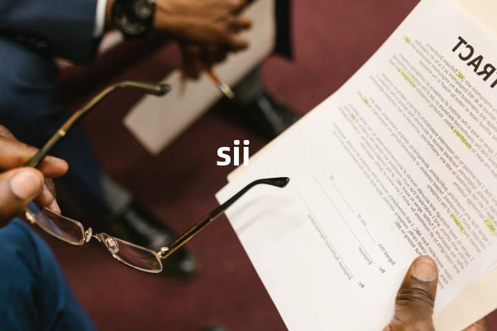 sii单词图解，单词释义场景配图