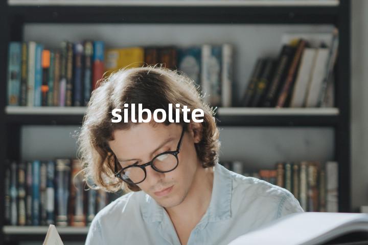 silbolite单词图解，单词释义场景配图