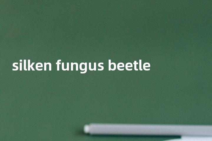silken fungus beetle单词图解，单词释义场景配图